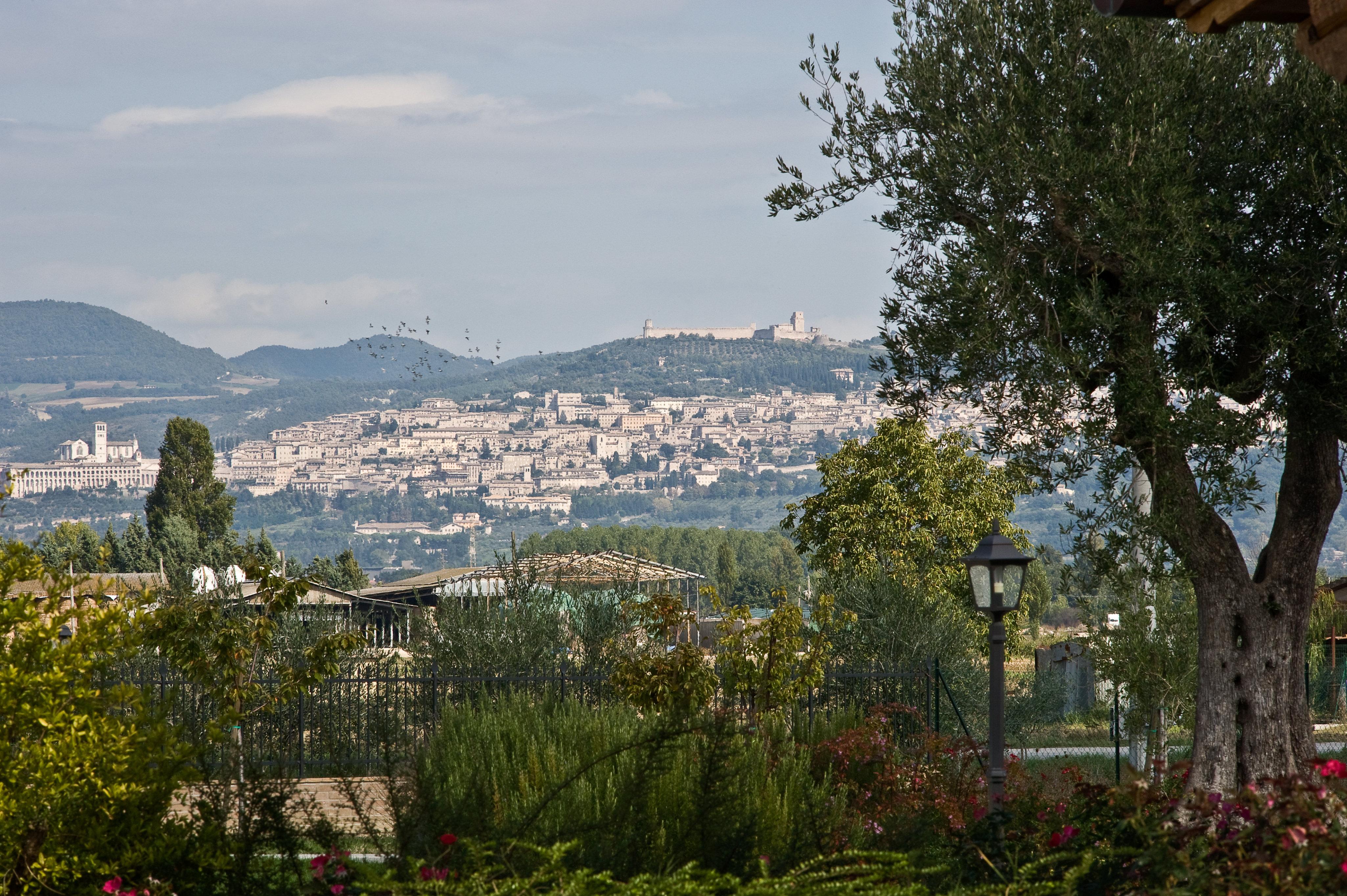 Agriturismo Le Rondini Di Francesco Di Assisi Cannara Εξωτερικό φωτογραφία