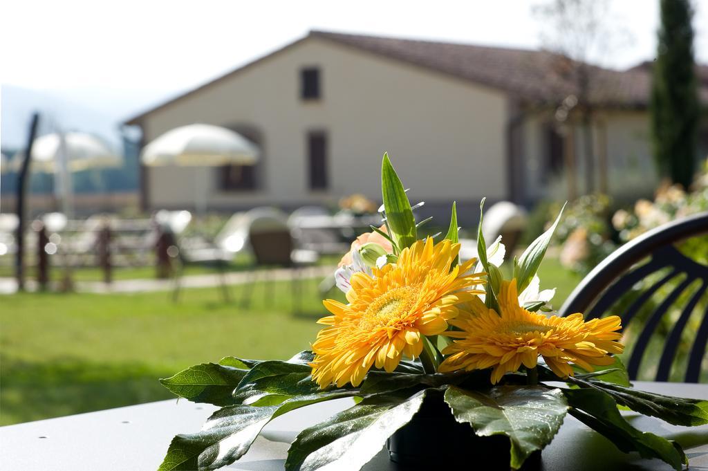 Agriturismo Le Rondini Di Francesco Di Assisi Cannara Εξωτερικό φωτογραφία
