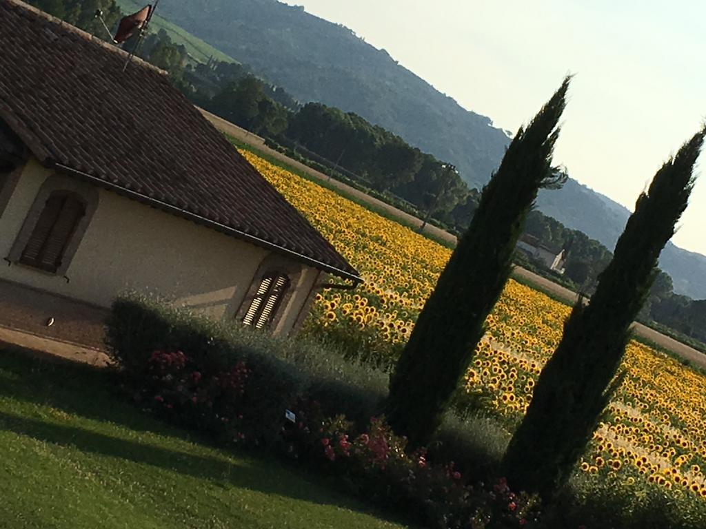Agriturismo Le Rondini Di Francesco Di Assisi Cannara Εξωτερικό φωτογραφία
